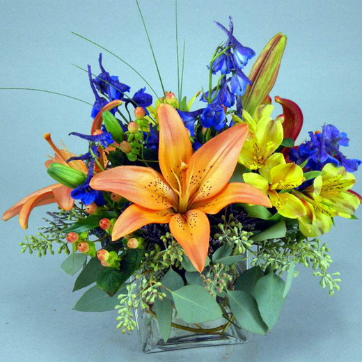 evolution of flowers