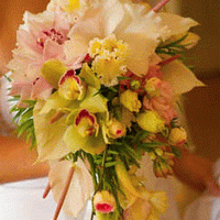 fish flawless flower little