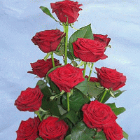 bouquets for the perfect mood