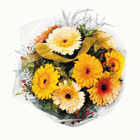 flower delivery dartmouth