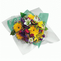 flower mountain southern wild