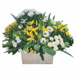 shreveport louisiana flowers mother's day delivery