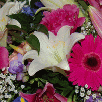 flower delivered online
