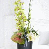 satin flowers delightful irises ohio